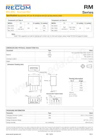 RM-3.33.3S/HP Datasheet Pagina 5