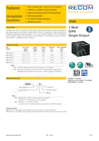 RNM-3.33.3S/HP Datasheet Cover