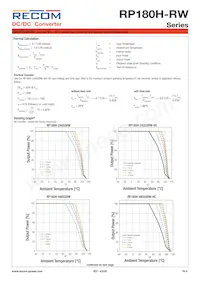 RP180H-11005SRW/P-HC Datenblatt Seite 9