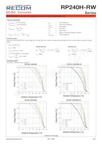 RP240H-11005SRW/P-HC Datasheet Page 9