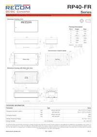 RP40-11024DFR/N-HC Datenblatt Seite 12