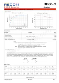 RP60-483.3SG/N-HC Datasheet Pagina 3