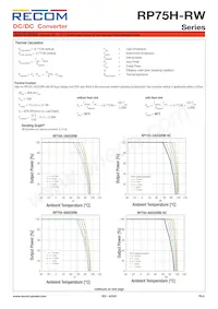 RP75H-11015SRW/P-HC Datasheet Page 9