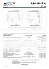 RP75H-11015SRW/P-HC Datenblatt Seite 10