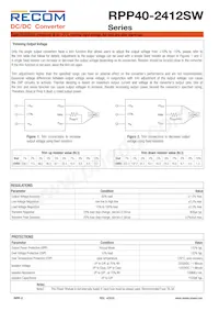 RPP40-2412SW Datasheet Page 2