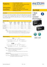RUM-3.30505/HP數據表 封面