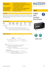 RUZ-050505/HP Datenblatt Cover