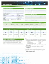 SIL30E-12W3V3-VJ Datasheet Page 2