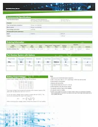 SIL60C2-00SADJ-VDJ 데이터 시트 페이지 2