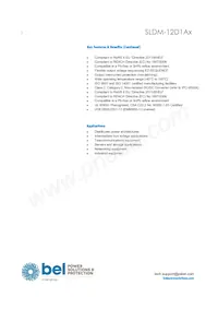 SLDM-12D1ALR Datasheet Page 2