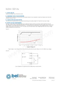 SLDM-12D1ALR Datasheet Page 17