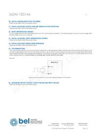 SLDM-12D1ALR Datasheet Page 21