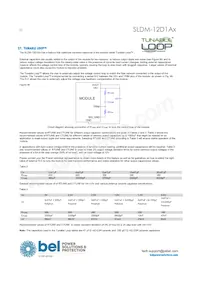 SLDM-12D1ALR Datasheet Page 22