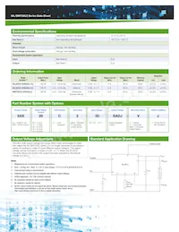 SMT20C2-00SADJJ Datasheet Pagina 2