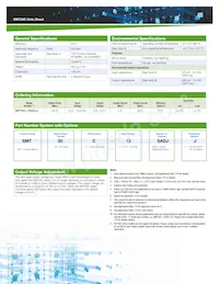 SMT30C-12SADJJ Datasheet Page 2
