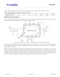 SPM1004-5V0C Datasheet Pagina 19