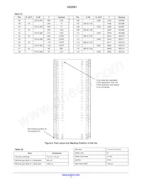 AX2061-1-WD1 Datasheet Page 17