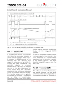 IGD515EI-34 Datenblatt Seite 12
