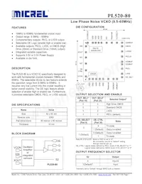 PL520-80DC Datasheet Cover
