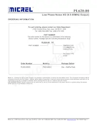PL620-80DC Datasheet Page 7