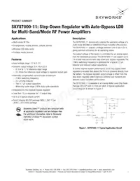 SKY87000-11-001 Datasheet Copertura