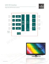 GS12142-INE3 Datasheet Pagina 9