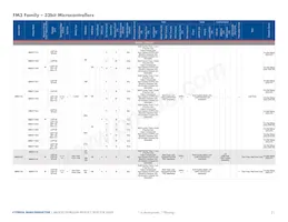 MB96F386RSCPMC-GS-215E2 Datenblatt Seite 21