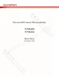 N79E855ASG數據表 封面