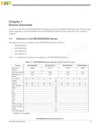 S9S08DN60F1MLF Datasheet Page 19