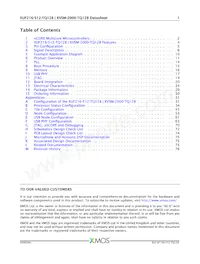 XVSM-2000-TQ128-C Datasheet Page 2