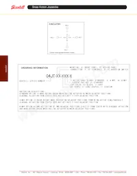 04JT-AP-T02 Datasheet Page 2