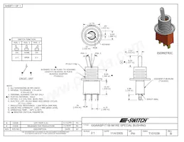 100AWSP1T1B1M1RE Datasheet Cover