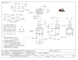 100SP1T2B3M6RE Datasheet Copertura