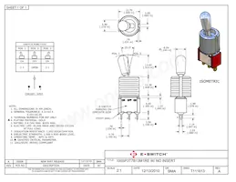 100SP3T7B13M1RE Datenblatt Cover