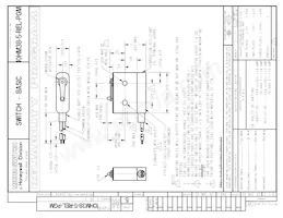 10HM38-5-REL-PGM Datasheet Cover