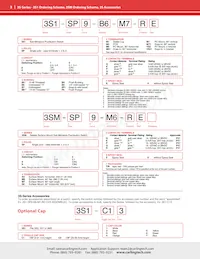 3S1-SP8-B6-M7RE Datasheet Page 3