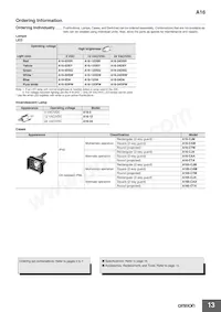 A16L-JGM-24D-1Q Datasheet Page 13