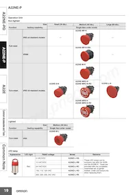 A22E-MK Datasheet Page 19