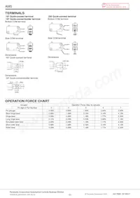 AM50031C53-A Datasheet Page 2