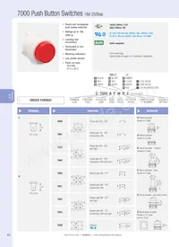 C7053AFNAB Datasheet Copertura