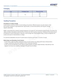 CT-07-50 Datasheet Page 5
