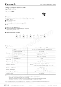 EVP-AKE31A Datasheet Cover