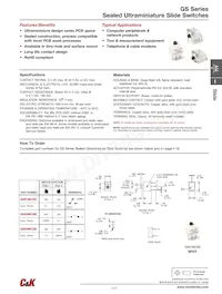 GS01MCKE Datasheet Cover