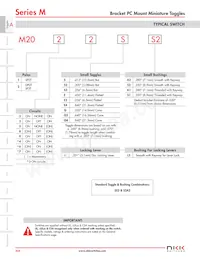 M2024LL1W01-H Datasheet Pagina 13