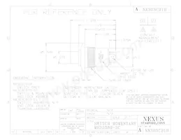 NX303CB1B-62 Datasheet Cover