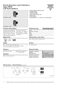PB22SIOL0RG Datasheet Cover