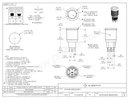 PVA3F2B0SS3R1 Datasheet Cover