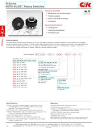 R10207RR03Q Datasheet Copertura