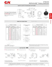 R10207RR03Q數據表 頁面 2