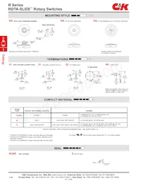 R10207RR03Q Datasheet Pagina 3